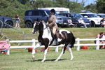 Class 7: Open Riding Horse portfolio