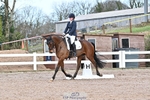 Dressage - CT Class 6 BE102 portfolio