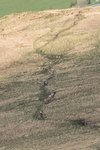 Helvellyn-2