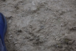 SBM_000026