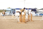 SBM_06770