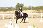 SBM_017409