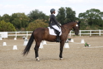 SBM_022015
