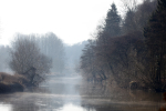 River Frome misty mornng  B0189