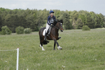 BVHT 140517  NXC -237