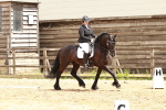 SBM_003629