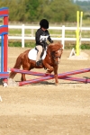 SBM_006248