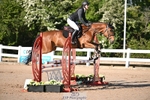 Cls 19 Snr British Novice and 90cm Open portfolio
