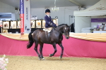 SBM_23498
