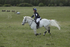 BVHT 140517  NXC -14