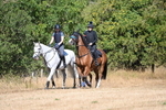 WJ6_8314