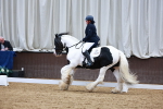 SBM_003172