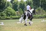 WJ6_7929