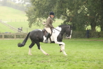 SBM_69811