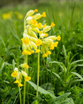 20140503-3K8A0708