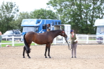 SBM_03937