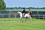 SBM_15375