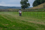 DSCF1352