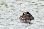 20140417-3K8A0253