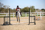 SBM_001081
