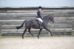 SBM_004703
