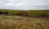 STOW