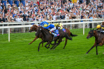 230825-Race 3-Never So Brave-0088