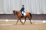 SBM_001981
