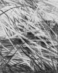 Bogland Matter 25, 16cm x 20cm