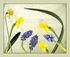 Spring Montage