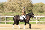 SBM_001698