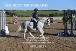 CLASS 0 Clear Round Show Jumping portfolio