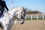 SBM_004257