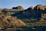 Argali (ovis ammon) at Ikh Nart Nature Reserve, Mongolia