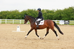 SBM_005677