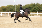 SBM_001900