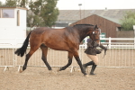 SBM_07720