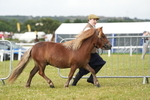 DSC04525