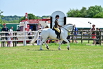SBM_15346