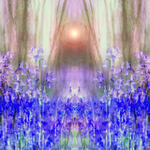 Elfin Guardian