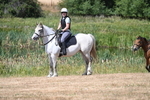 WJ7_8527