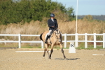 SBM_001440