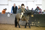 SBM_008915