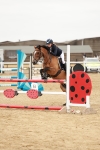 SBM_008975