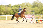 SBM_003461