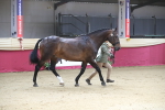 SBM_00531