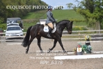 BPP_6378