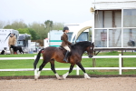 SBM_00239