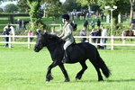 SBM_51979