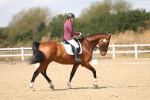 SBM_009777